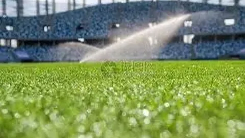 俄超中超大比分战报专家质合分析前区十码推荐